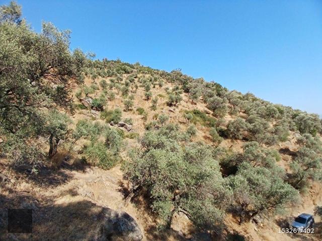 Bayindir, İzmir içerisinde satılık mülk