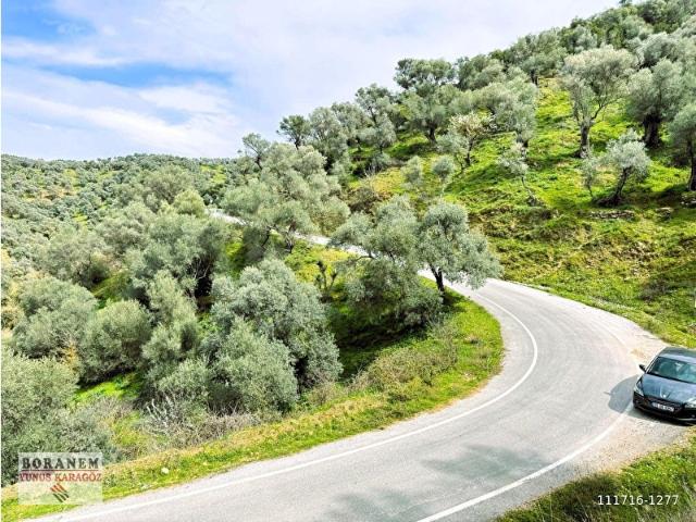 Bayindir, İzmir içerisinde satılık mülk