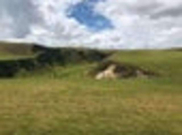 Land for sale in Baylys Beach, Northland