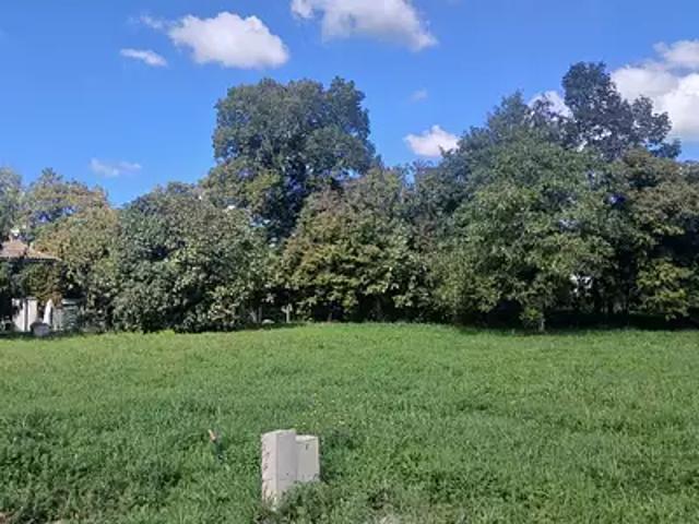 Terrain vente à France métropolitaine, Bayon-sur-gironde