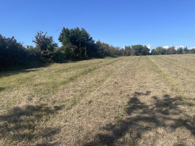 Terrain vente à France métropolitaine, Bayon-sur-gironde