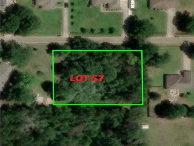 Land for sale in DeRidder, Beauregard Parish