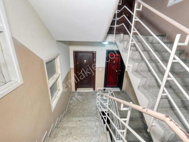 Bayrakli, İzmir içerisinde kiralık mülk