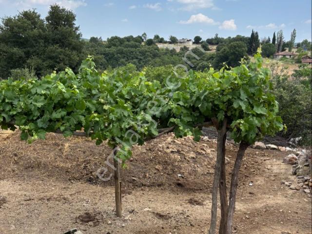 Bayramiç, Çanakkale içerisinde satılık Bahce kati
