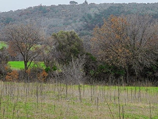 Bayramiç, Çanakkale içerisinde satılık Arsa