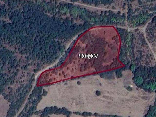 Bayramiç, Çanakkale içerisinde satılık Arsa