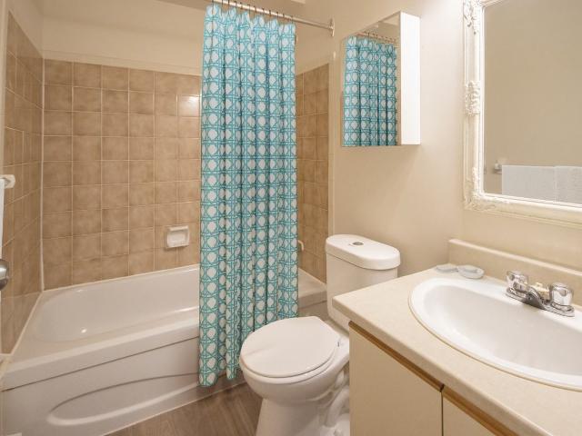 Apartment for rent in Kingston, Ontario