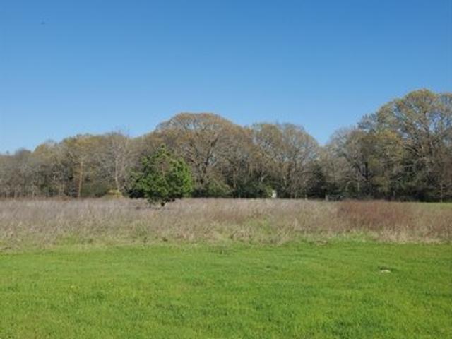 Land for sale in Henderson, Texas