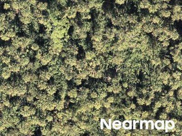 Land for sale in North Fort Myers Land for sale in North Fort Myers