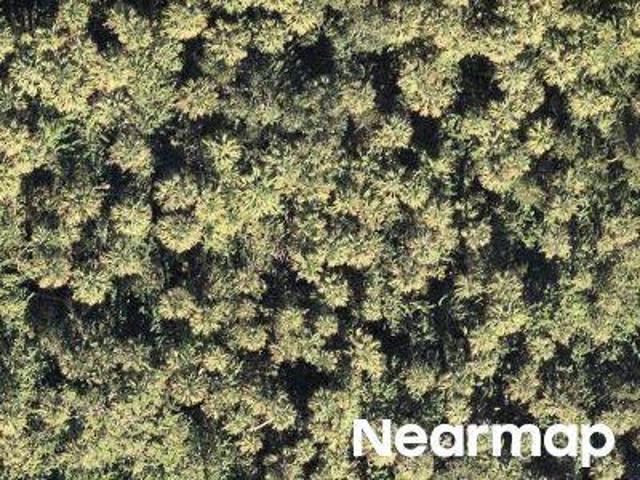 Land for sale in North Fort Myers Land for sale in North Fort Myers