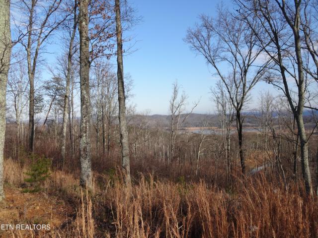 Land for sale in Tennessee