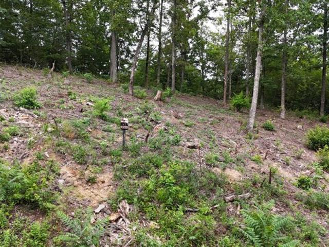 Land for sale in Tennessee