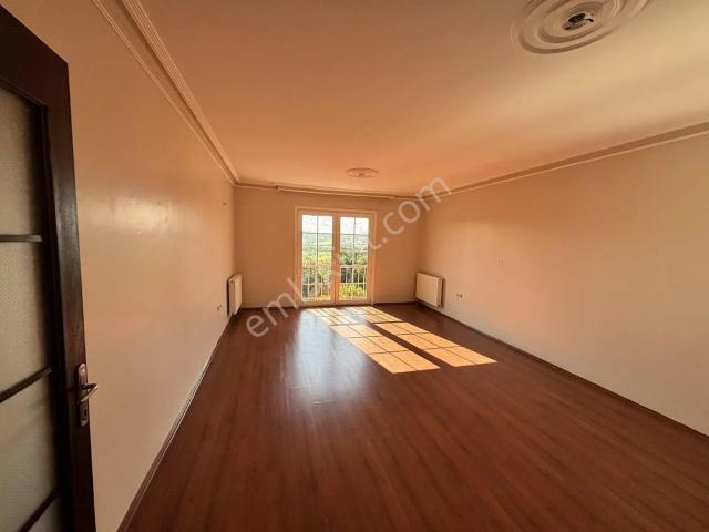 Korucuk Mahallesi, Adapazarı içerisinde kiralık mülk