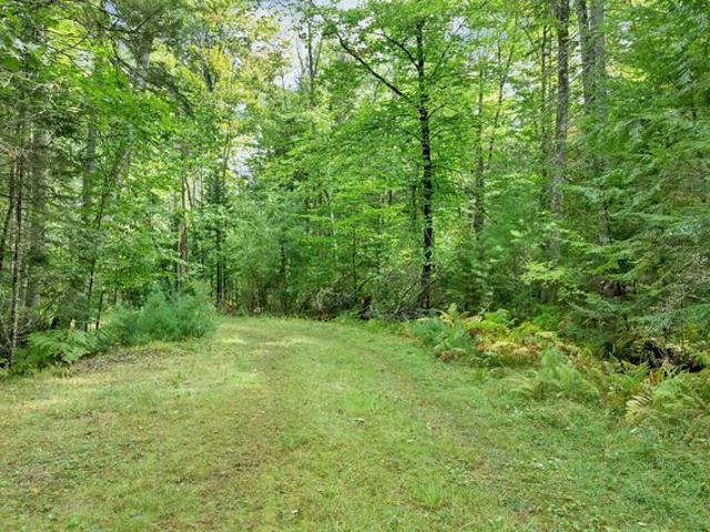 Land for sale in Tuftonboro, Carroll County