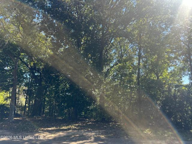 Land for sale in Moss Point, Mississippi
