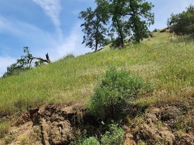 Land for sale in Squaw Valley, California