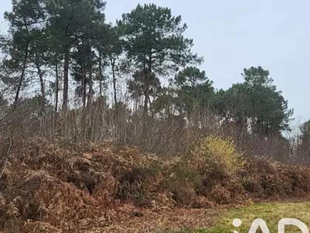 Terrain vente à Langon, Bazas
