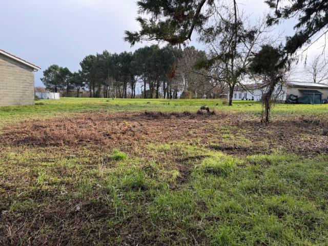 Terrain vente à Bazas, Gironde