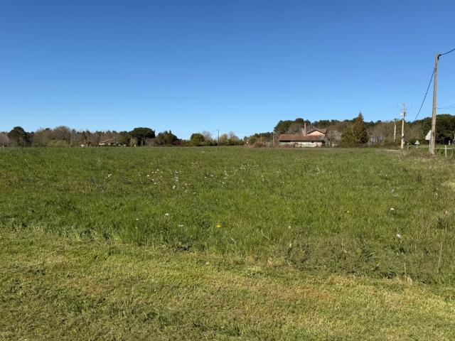 Terrain vente à Langon, Bazas