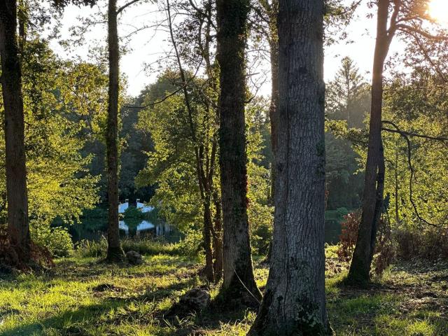 Terrain vente à Montargis, Bazoches-sur-le-betz
