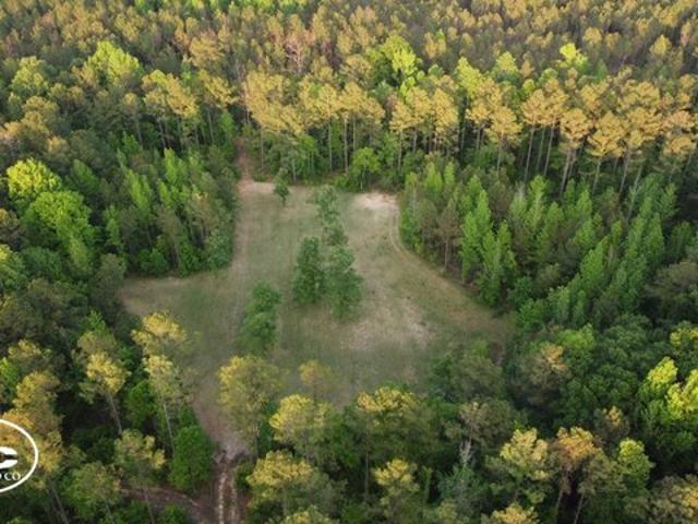 Land for sale in York, Alabama