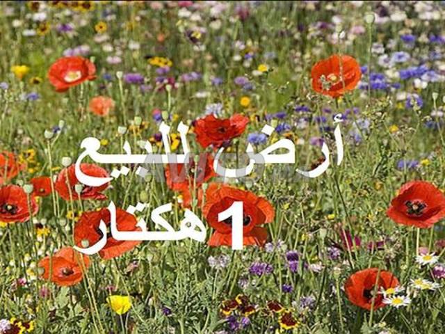 Propriété vente à El Ma, Gharb-Chrarda-Beni Hssen