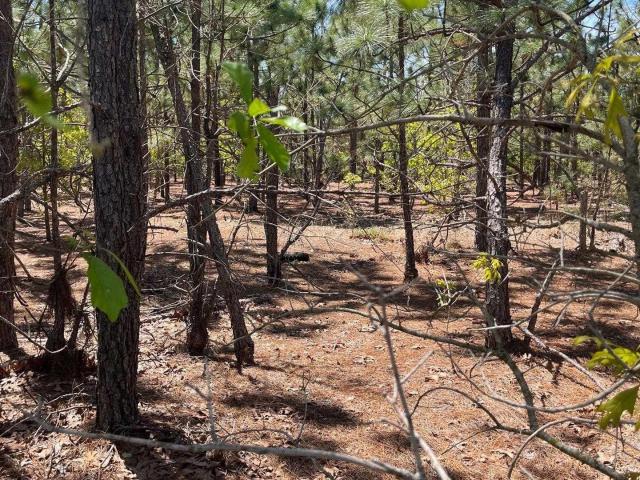 Land for sale in South Carolina