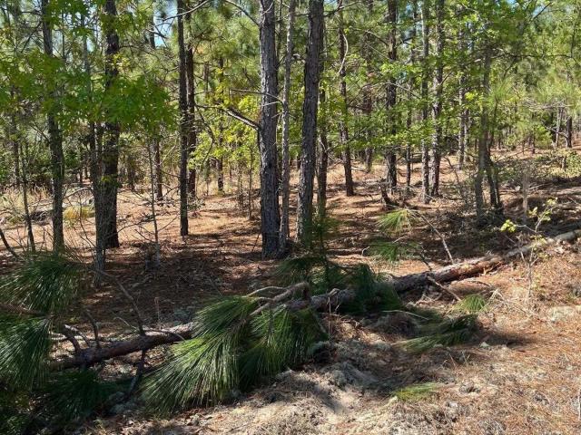 Land for sale in South Carolina