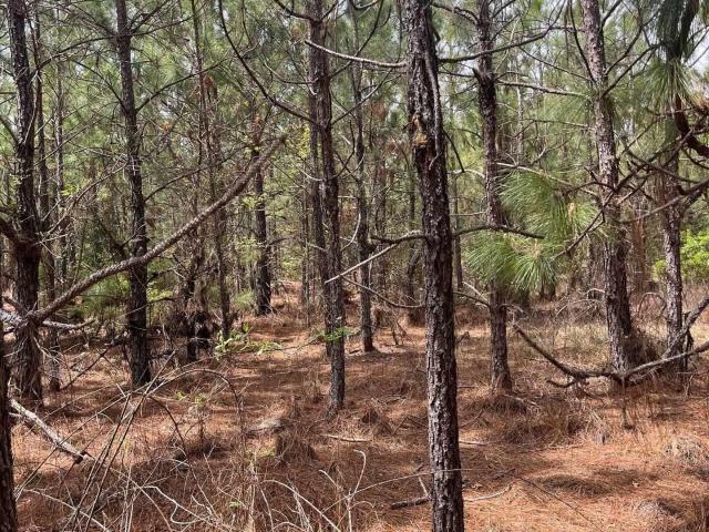 Land for sale in South Carolina