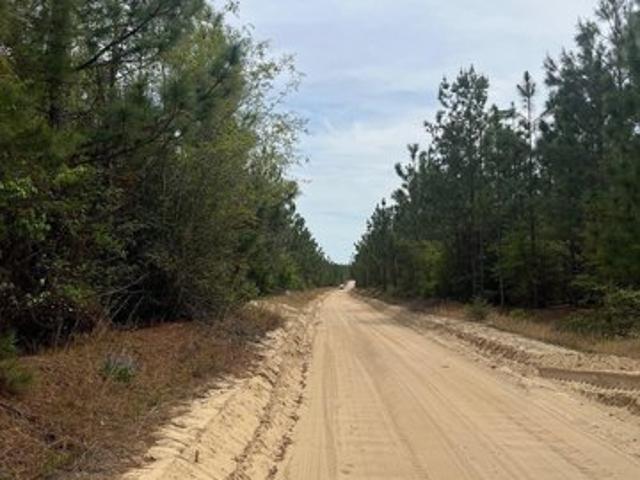 Land for sale in Cassatt, South Carolina