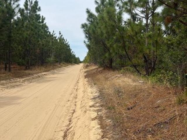 Land for sale in Cassatt, South Carolina