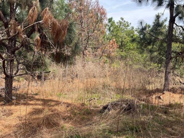 Land for sale in South Carolina