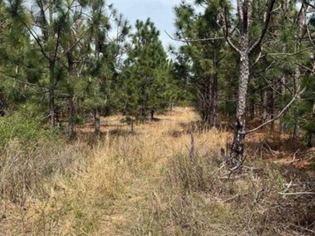 Land for sale in Cassatt, South Carolina