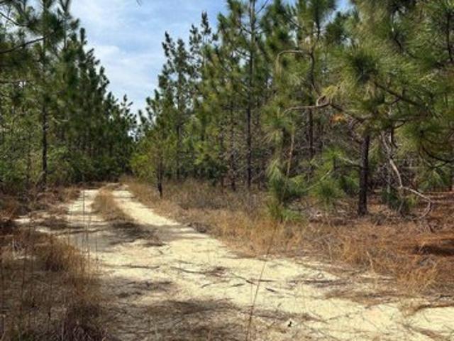 Land for sale in Cassatt, South Carolina