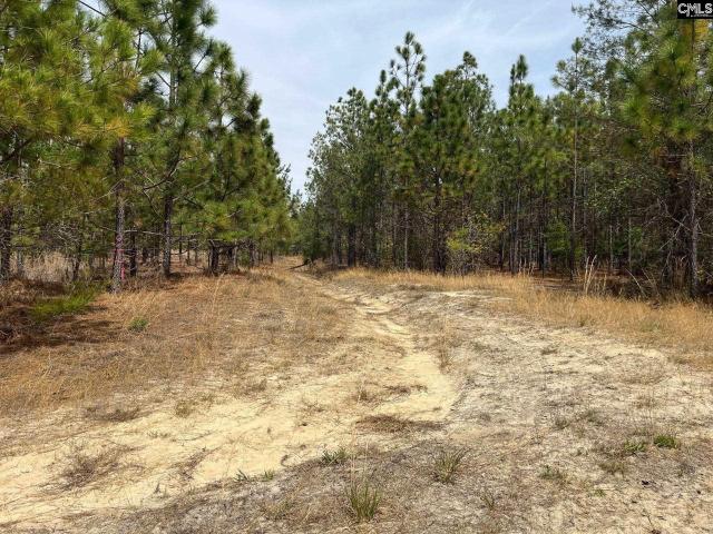 Land for sale in South Carolina