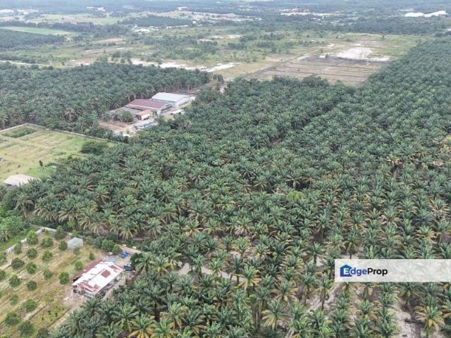 Shop for sale in Pontian, Johor