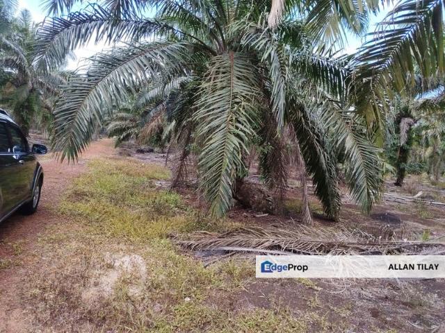 Shop for sale in Pontian, Johor