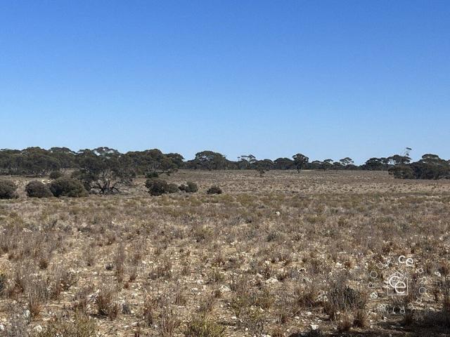 Cottage for sale in Swan Reach, South Australia