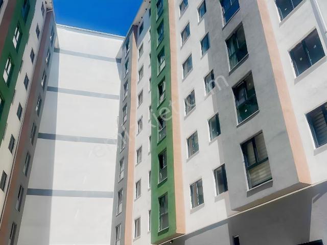 Düzce Merkez, Düzce içerisinde kiralık mülk