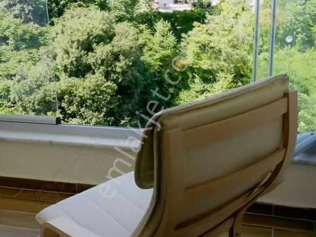 Beşiktaş, İstanbul içerisinde kiralık mülk