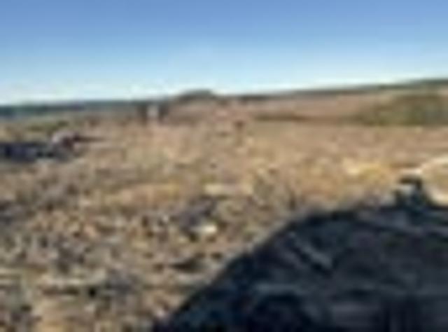 Land for sale in Otakou
