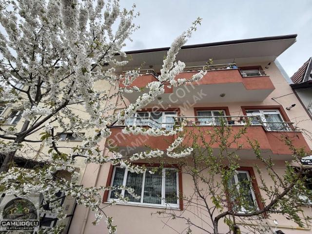 Bolu Merkez, Bolu içerisinde kiralık mülk
