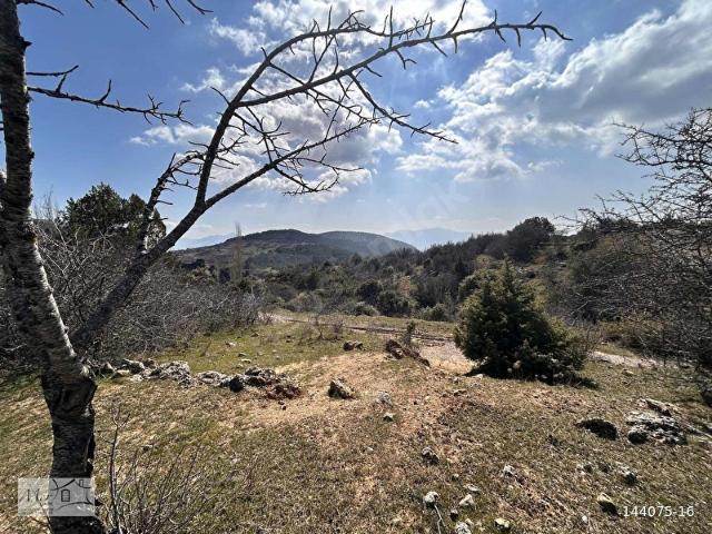 Kemalpaşa, İzmir içerisinde satılık Arsa