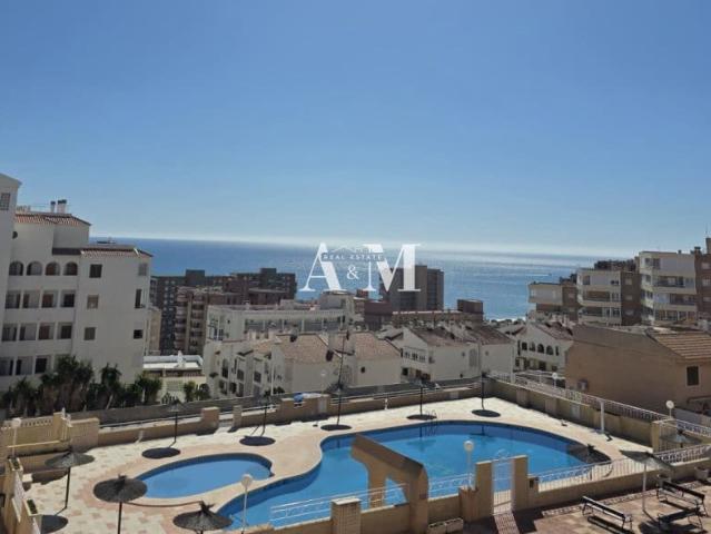Apartamento en alquiler en Complejo Bella Vista, Elx / Elche