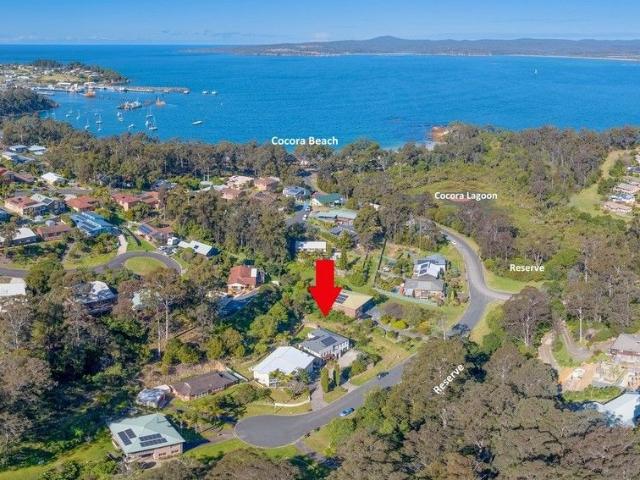 Land for sale in Nethercote, New South Wales