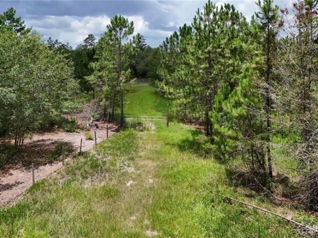 Land for sale in Eustis Land for sale in Eustis