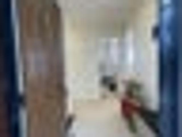 House for rent in Wairau Valley