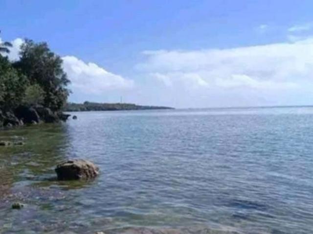 Beach Lot For Sale In Borbon Cebu Philippines Beach Lot For Sale In Borbon Cebu Philippines