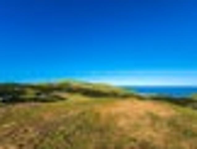Land for sale in Waikato