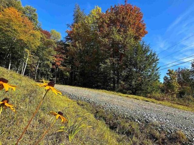 Land for sale in Elmore, Lamoille County